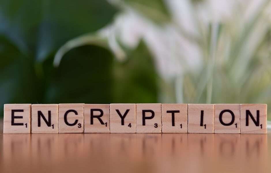 Drewniane klocki z literami tworzące słowo ENCRYPTION na rozmytym tle roślin.