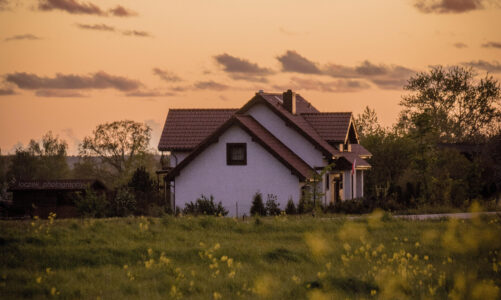 Jakie są najlepsze sposoby na ochronę środowiska w domu?